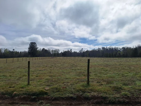 a 20 min de villarrica parcelas con luz, agua y cercadas