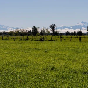 verde pradera 1 y 2 desde $15.990.000 crédito directo