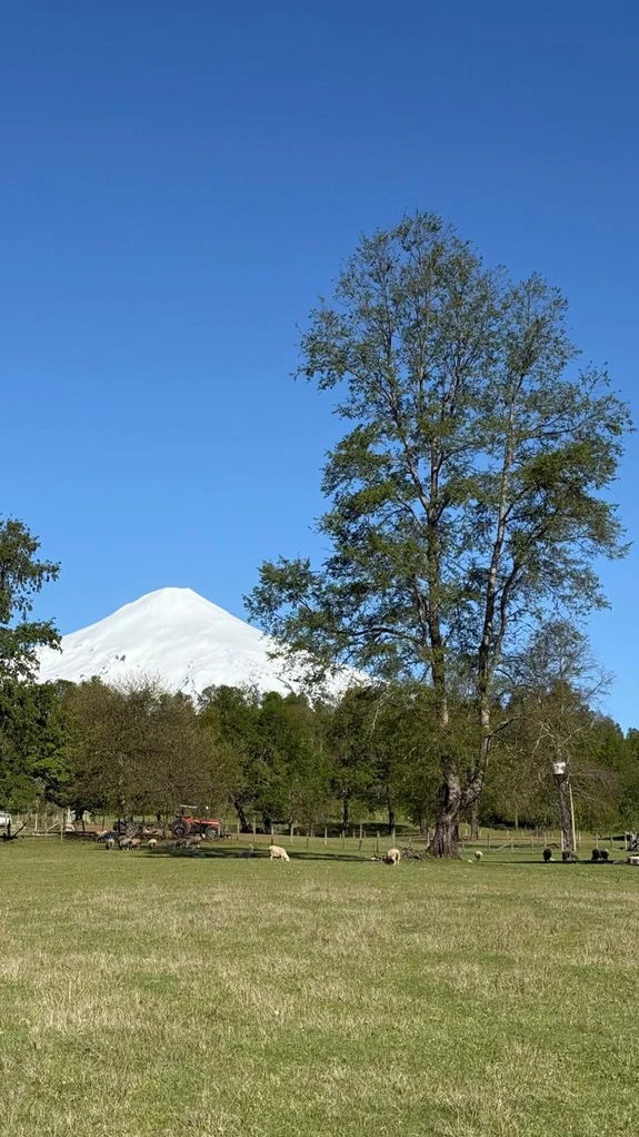 cumbres de pucón $29.990.000