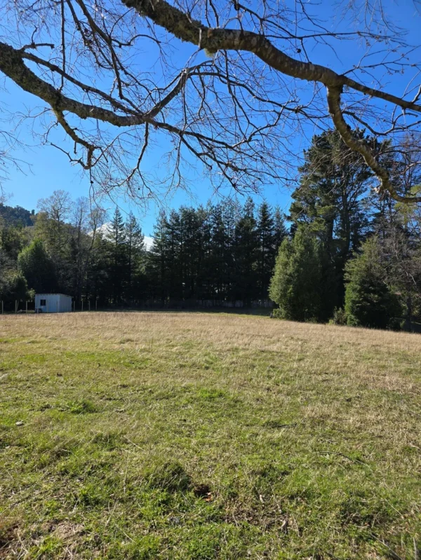 parcelas pino huacho lican ray