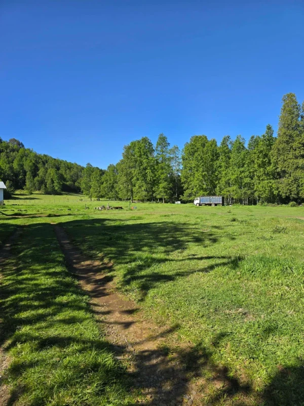 la comarca a solo 10 km de villarrica desde $39.990.000