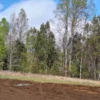 a 20 min de villarrica parcelas con luz, agua y cercadas a 20 min de villarrica parcelas con luz, agua y cercadas