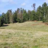 parcelas en relún a 15 km de villarrica