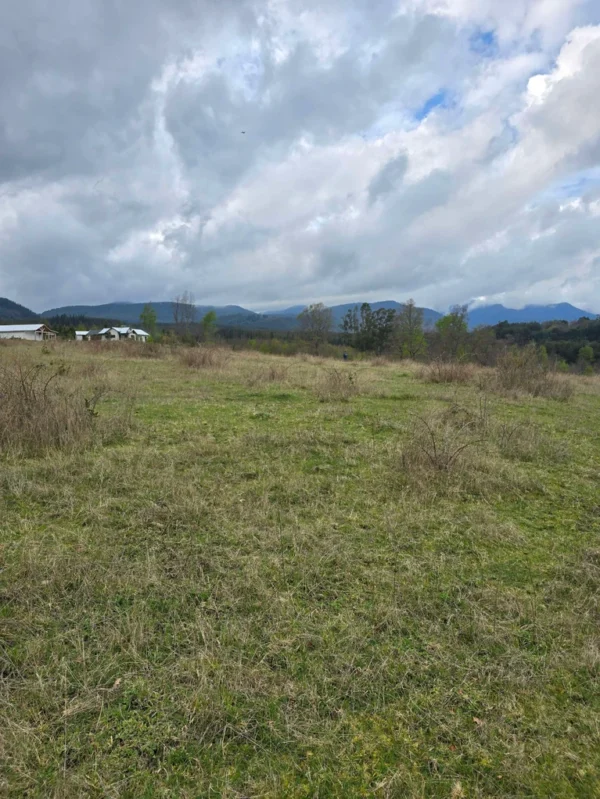 parcelas ruta cunco melipeuco