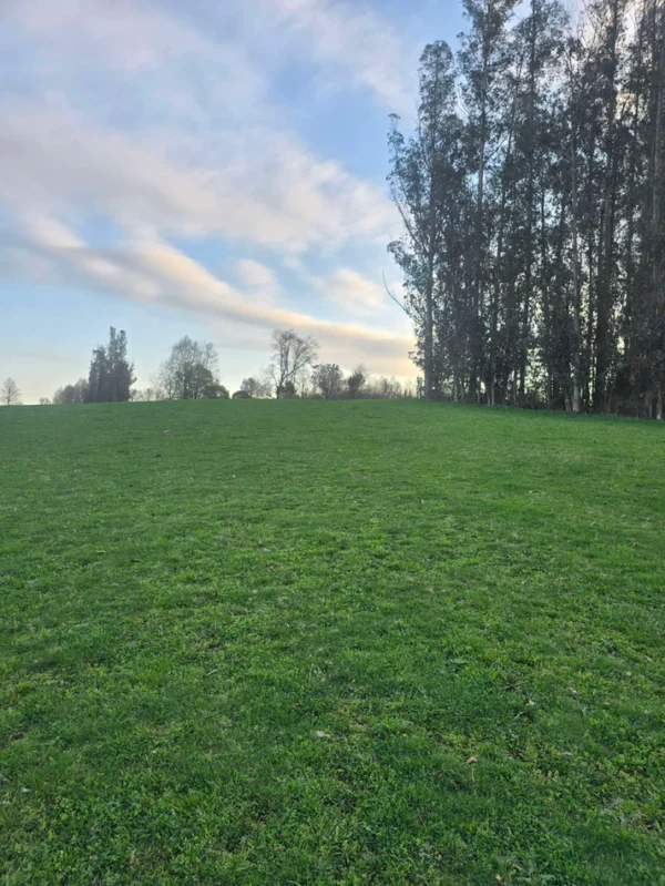 rinconada a solo 15 min de villarrica