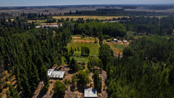 fundo del itata Últimas 2 parcelas