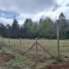 a 20 min de villarrica parcelas con luz, agua y cercadas a 20 min de villarrica parcelas con luz, agua y cercadas