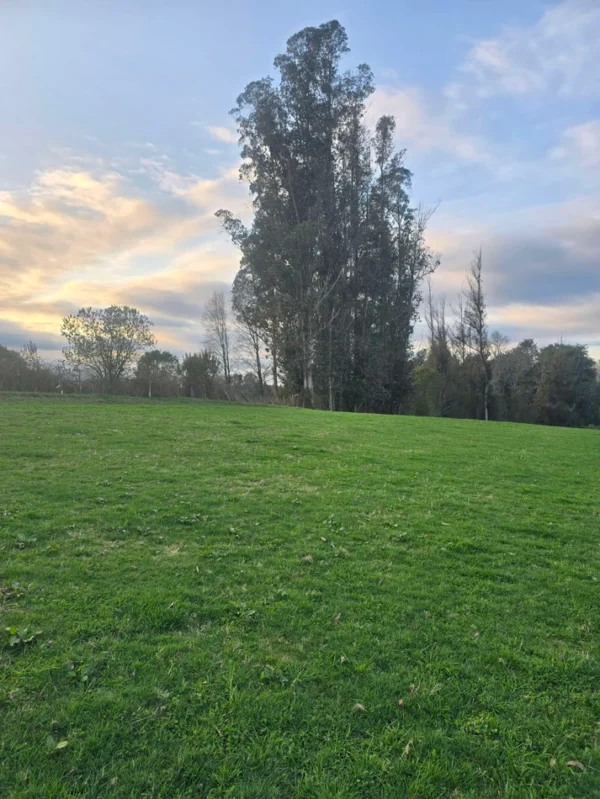 rinconada a solo 15 min de villarrica