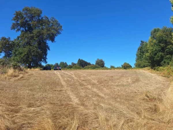 séptima faja hermosas parcelas a 20 min de villarrica desde $28.000.000