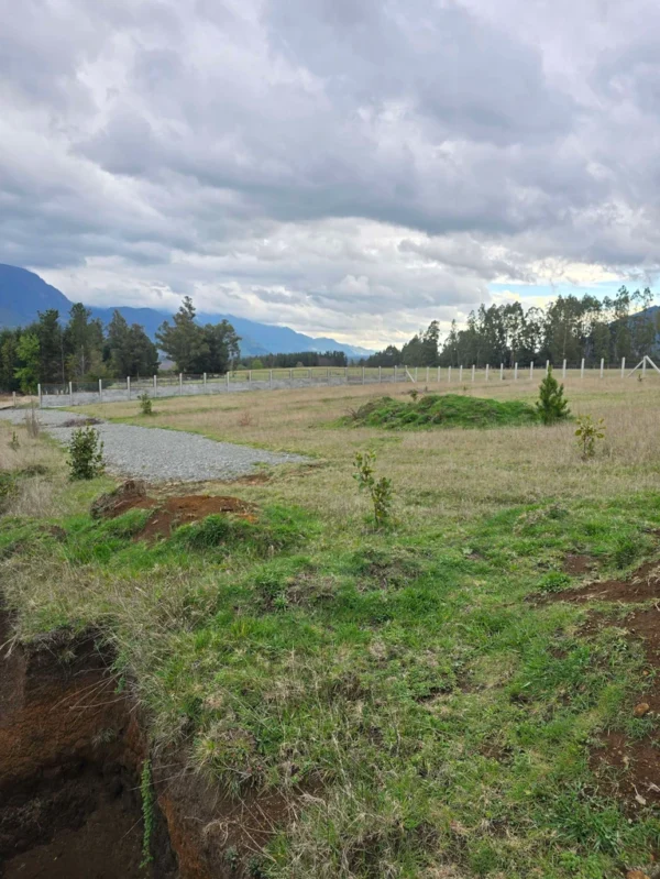 parcelas ruta cunco melipeuco