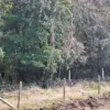 a 20 min de villarrica parcelas con luz, agua y cercadas a 20 min de villarrica parcelas con luz, agua y cercadas