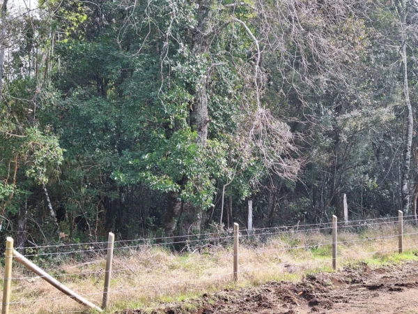 a 20 min de villarrica parcelas con luz, agua y cercadas