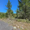 parcelas a minutos del lago calafquén $30.000.000 parcelas a minutos del lago calafquén $30.000.000