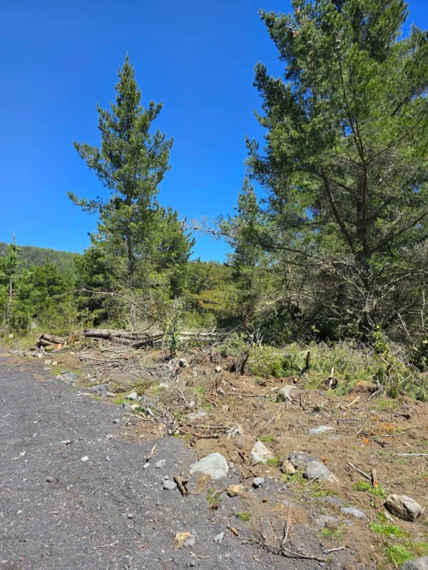 parcelas a minutos del lago calafquén $30.000.000
