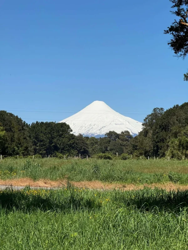 los molinos puerto octay
