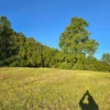 la comarca a solo 10 km de villarrica desde $39.990.000