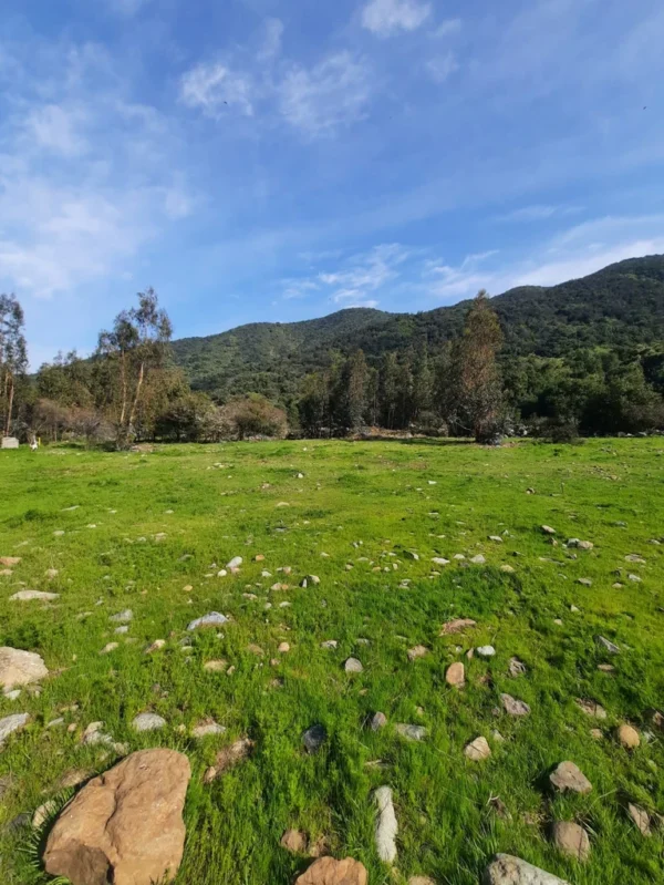 los molinos puerto octay (copia)