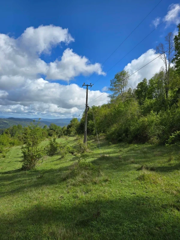 a 20 min de licanray parcelas de 1 hectárea con estero