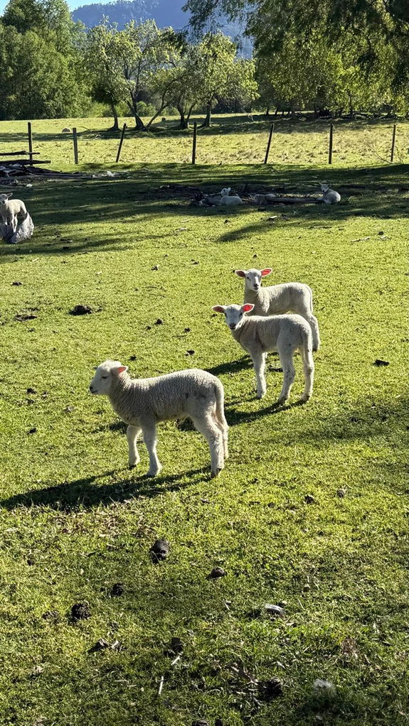 cumbres de pucón $29.990.000