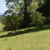 la comarca a solo 10 km de villarrica desde $39.990.000