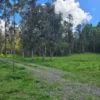 fundo ancahual villarrica loncoche fundo ancahual villarrica loncoche