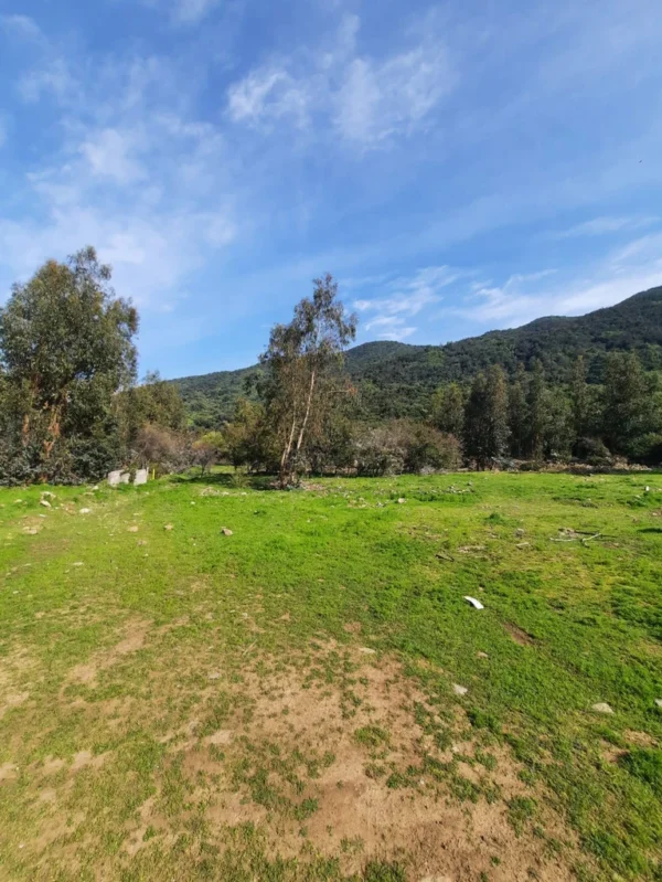 los molinos puerto octay (copia)