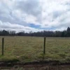 a 20 min de villarrica parcelas con luz, agua y cercadas a 20 min de villarrica parcelas con luz, agua y cercadas