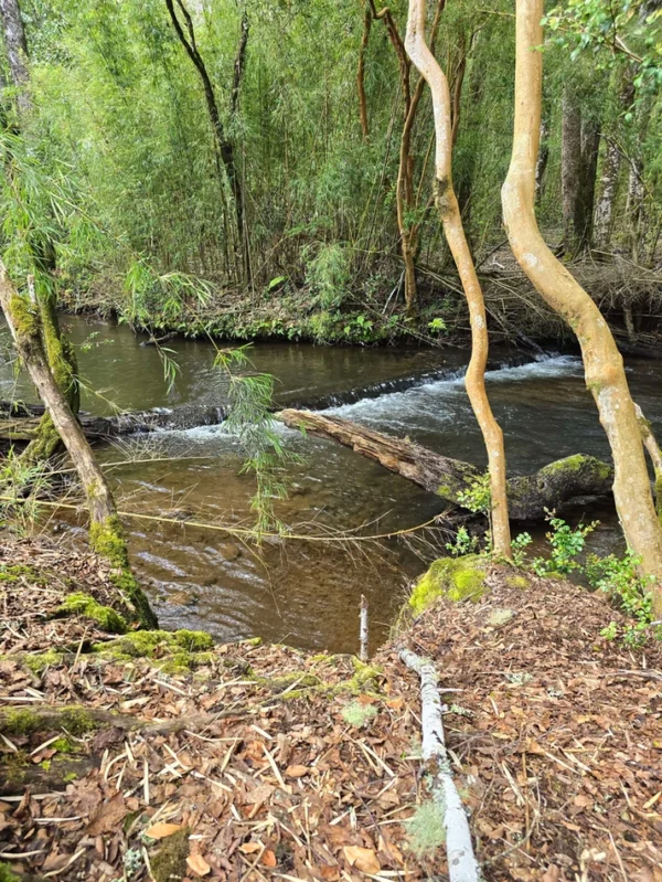 rinconada a solo 15 min de villarrica