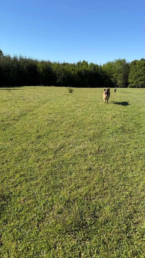 cumbres de pucón $29.990.000