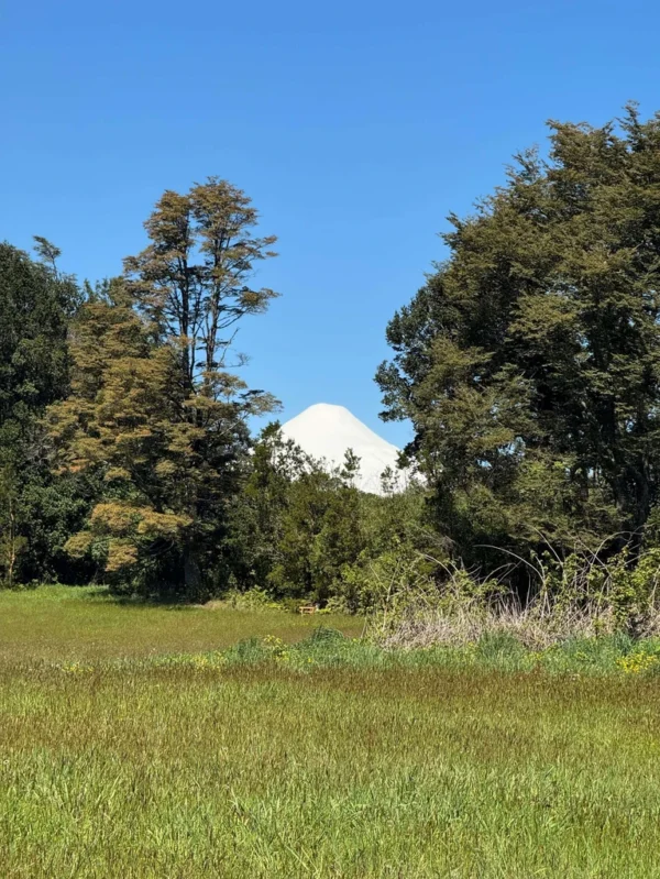 los molinos puerto octay