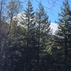 parcelas pino huacho lican ray