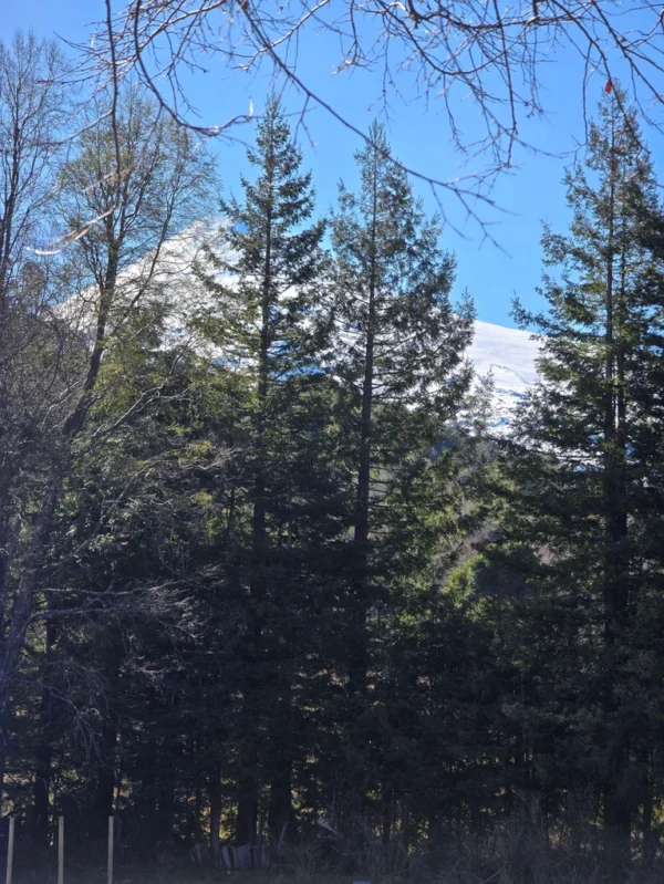 Parcelas Pino Huacho Lican Ray parcelas pino huacho lican ray