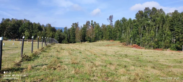 parcelas en relún a 15 km de villarrica