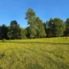 la comarca a solo 10 km de villarrica desde $39.990.000