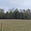 a 20 min de villarrica parcelas con luz, agua y cercadas a 20 min de villarrica parcelas con luz, agua y cercadas