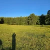 la comarca a solo 10 km de villarrica desde $39.990.000