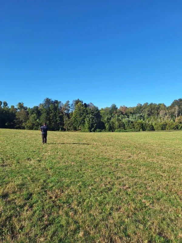 rinconada a solo 15 min de villarrica