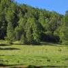 la comarca a solo 10 km de villarrica desde $39.990.000