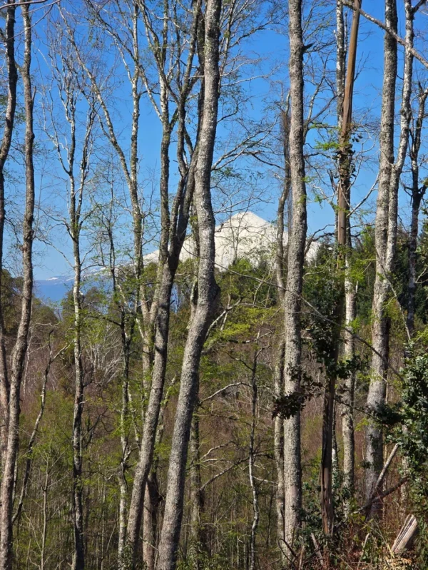 a solo 15 min de villarrica $38.000.000 crédito directo