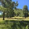 la comarca a solo 10 km de villarrica