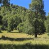la comarca a solo 10 km de villarrica