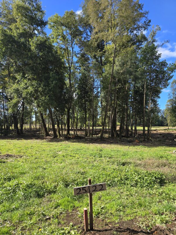 rinconada a solo 15 km de villarrica