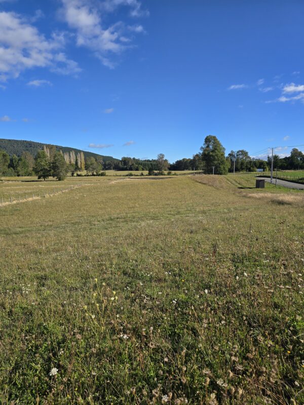 rinconada a solo 15 km de villarrica