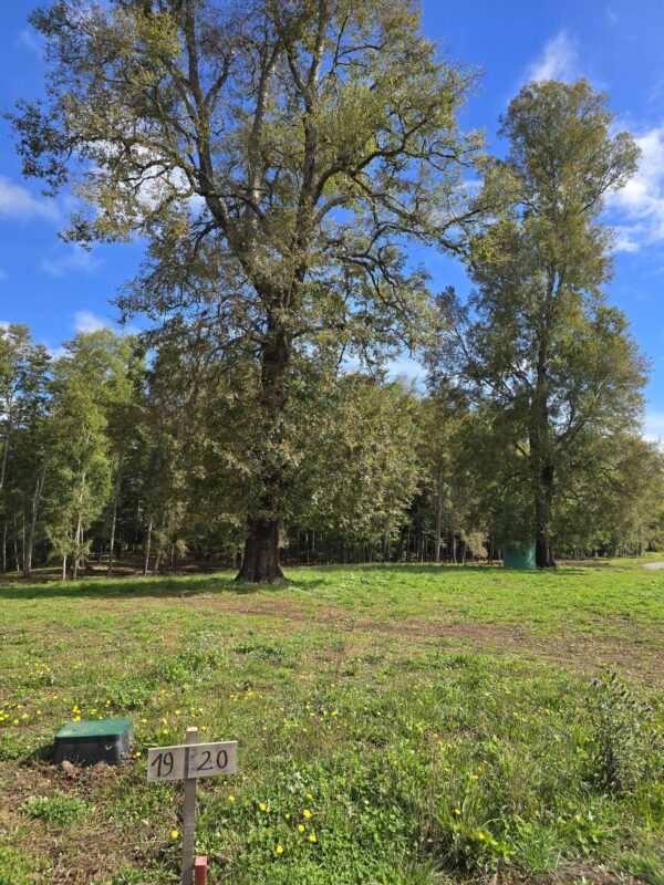 rinconada a solo 15 kms de villarrica