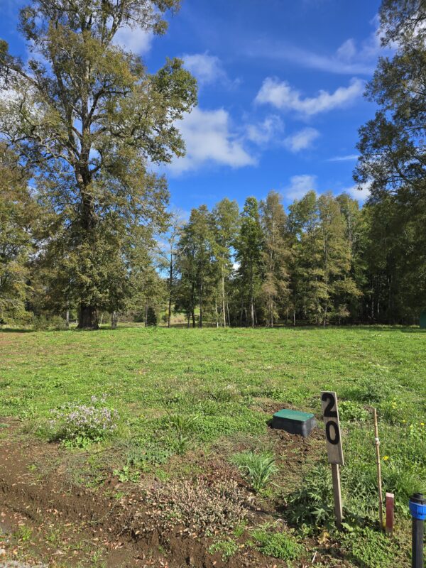 rinconada a solo 15 kms de villarrica