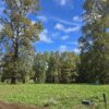 rinconada a solo 15 kms de villarrica rinconada a solo 15 kms de villarrica