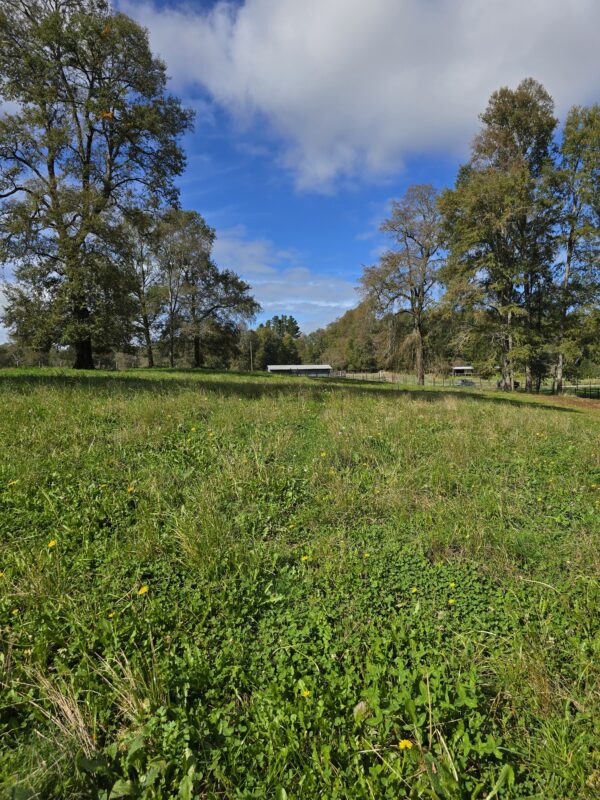 rinconada a solo 15 kms de villarrica
