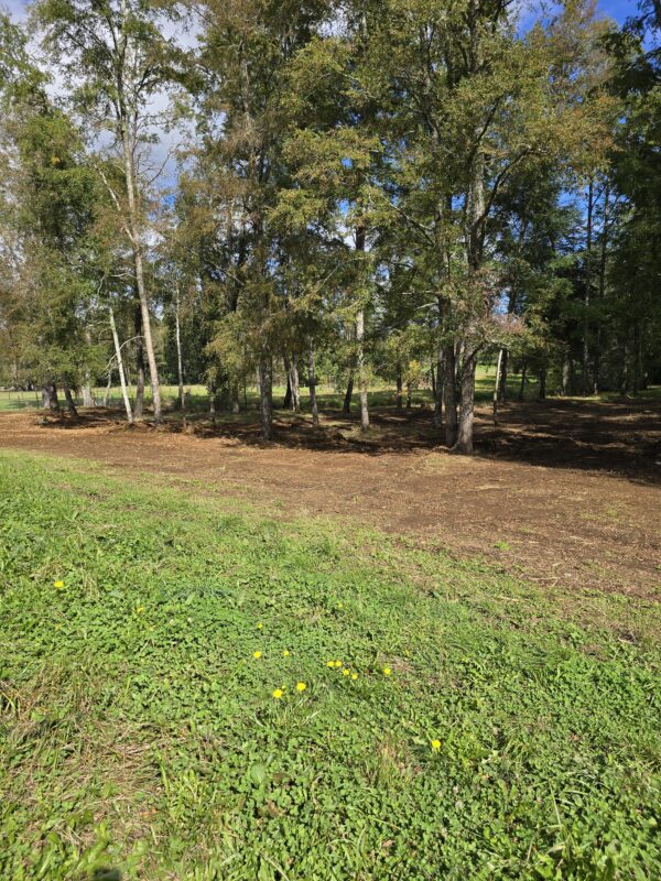 rinconada a solo 15 kms de villarrica