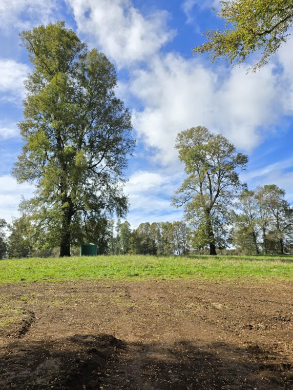 rinconada a solo 15 kms de villarrica