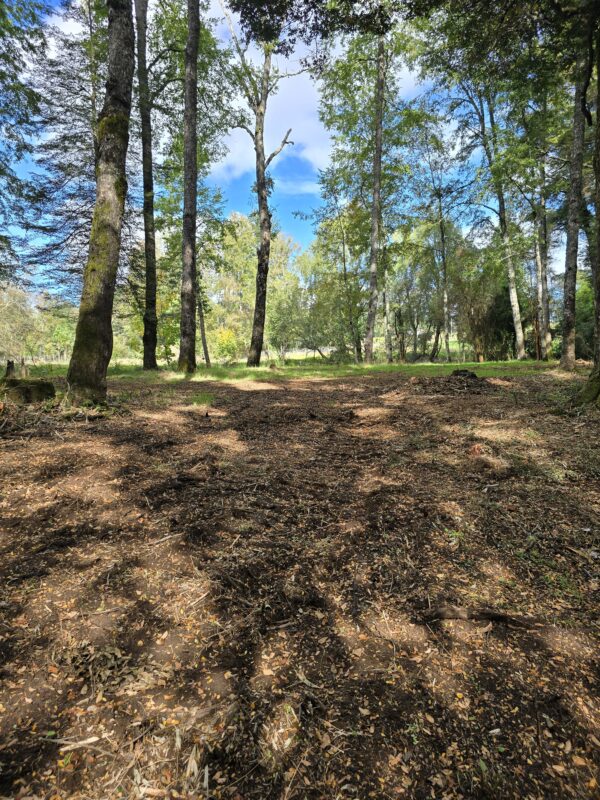 rinconada a solo 15 kms de villarrica